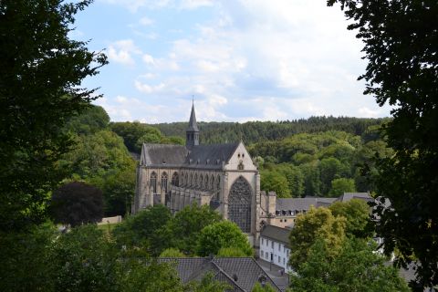 Altenberger Dom von oben (C) Anika Hohmeier